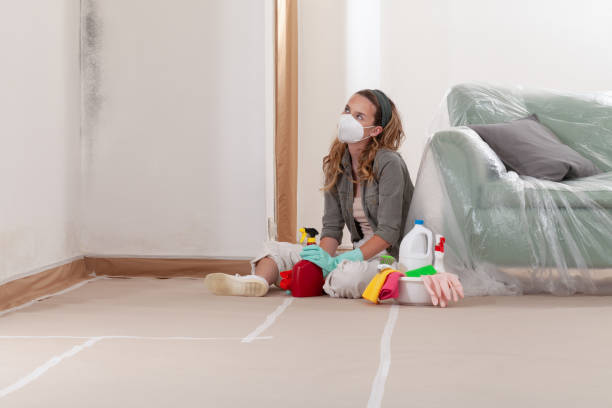 Reliable Mold Inspection contractor in Curwensville, PA by WQB Mold Removal